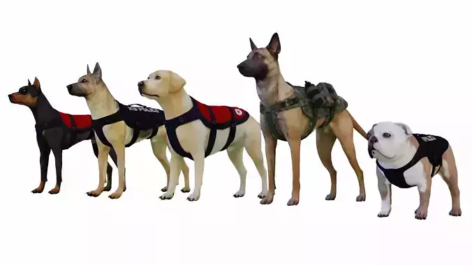 Dog Pack Low-poly 3D model
