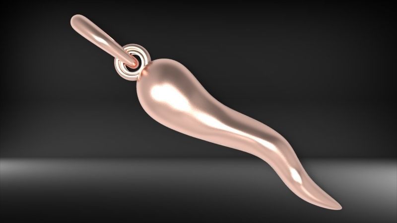 Italian Horn Pendant charm necklace jewelry 3D print model_6