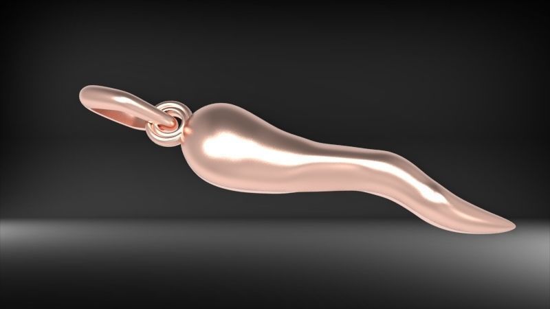 Italian Horn Pendant charm necklace jewelry 3D print model_7