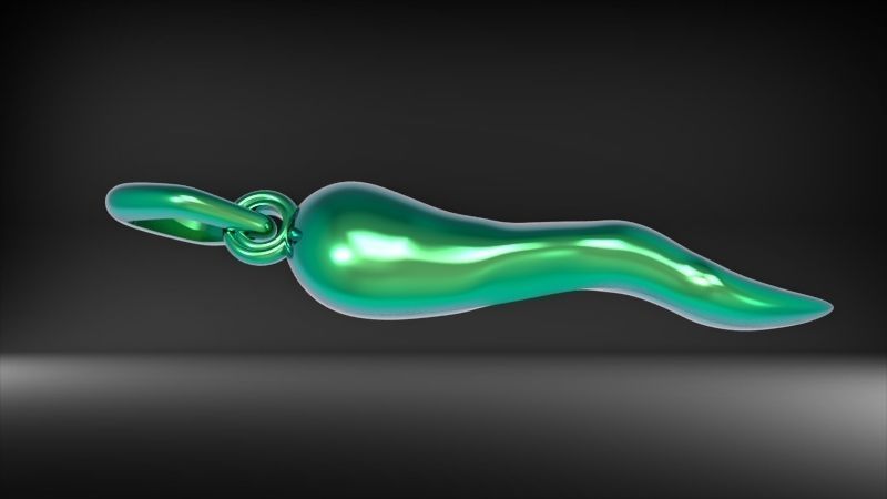 Italian Horn Pendant charm necklace jewelry 3D print model_9