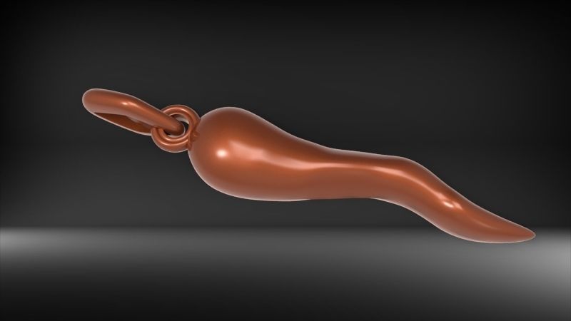 Italian Horn Pendant charm necklace jewelry 3D print model_8