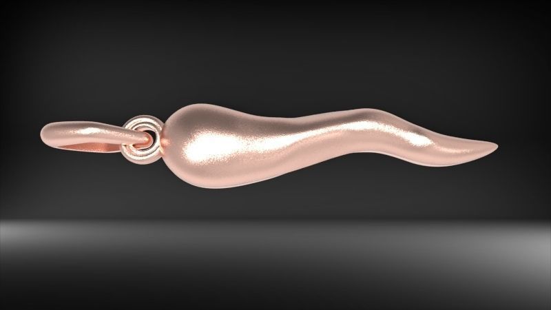 Italian Horn Pendant charm necklace jewelry 3D print model_5