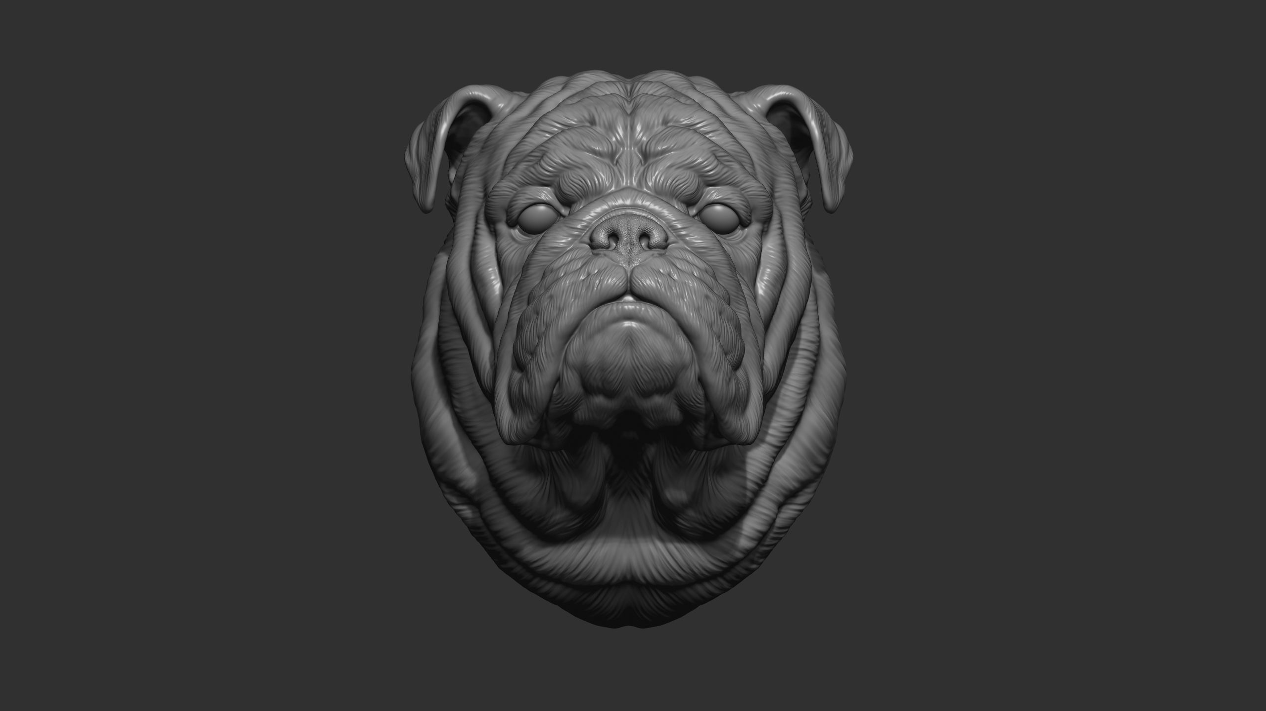 English bulldog bust 3D print model_2
