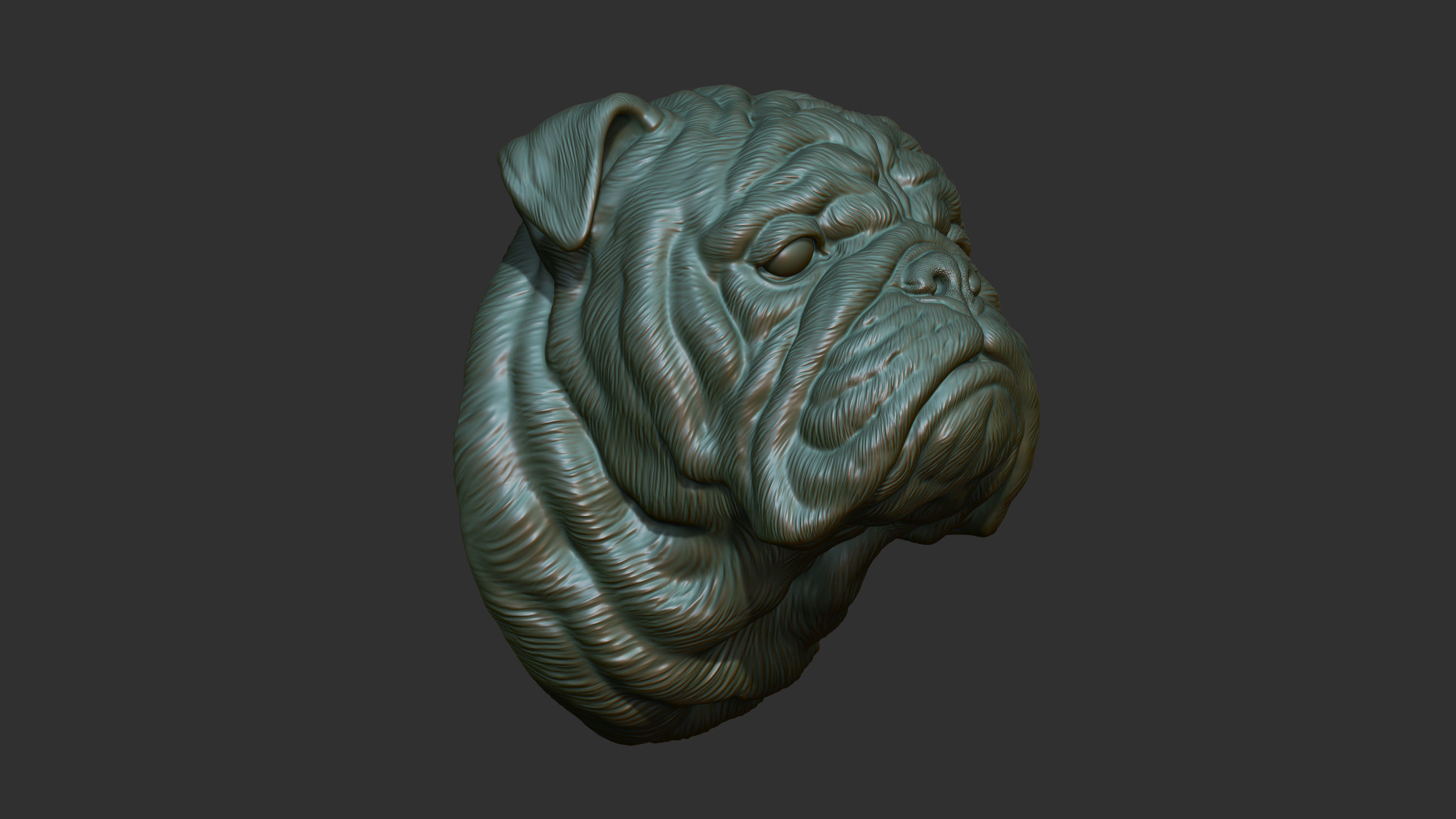 English bulldog bust 3D print model_6