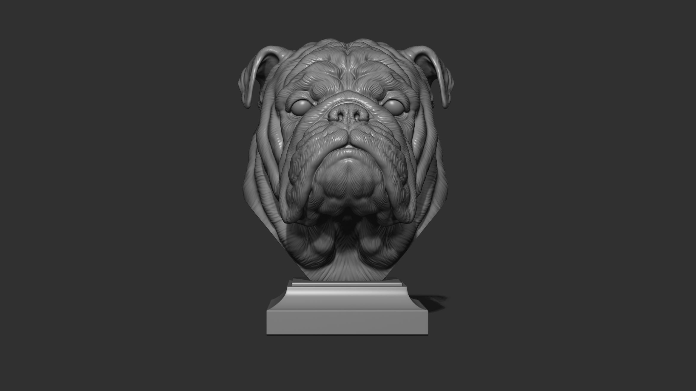 English bulldog bust 3D print model_11