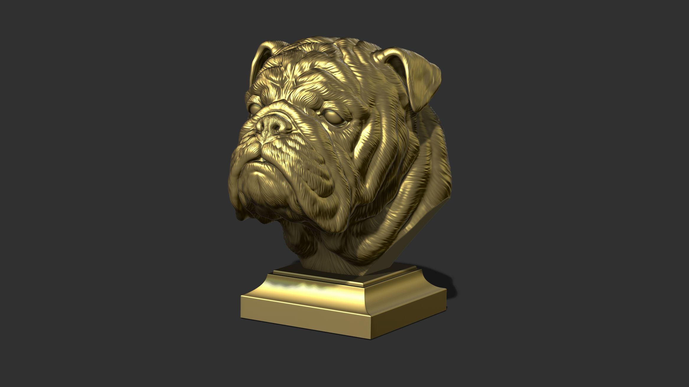 English bulldog bust 3D print model_19