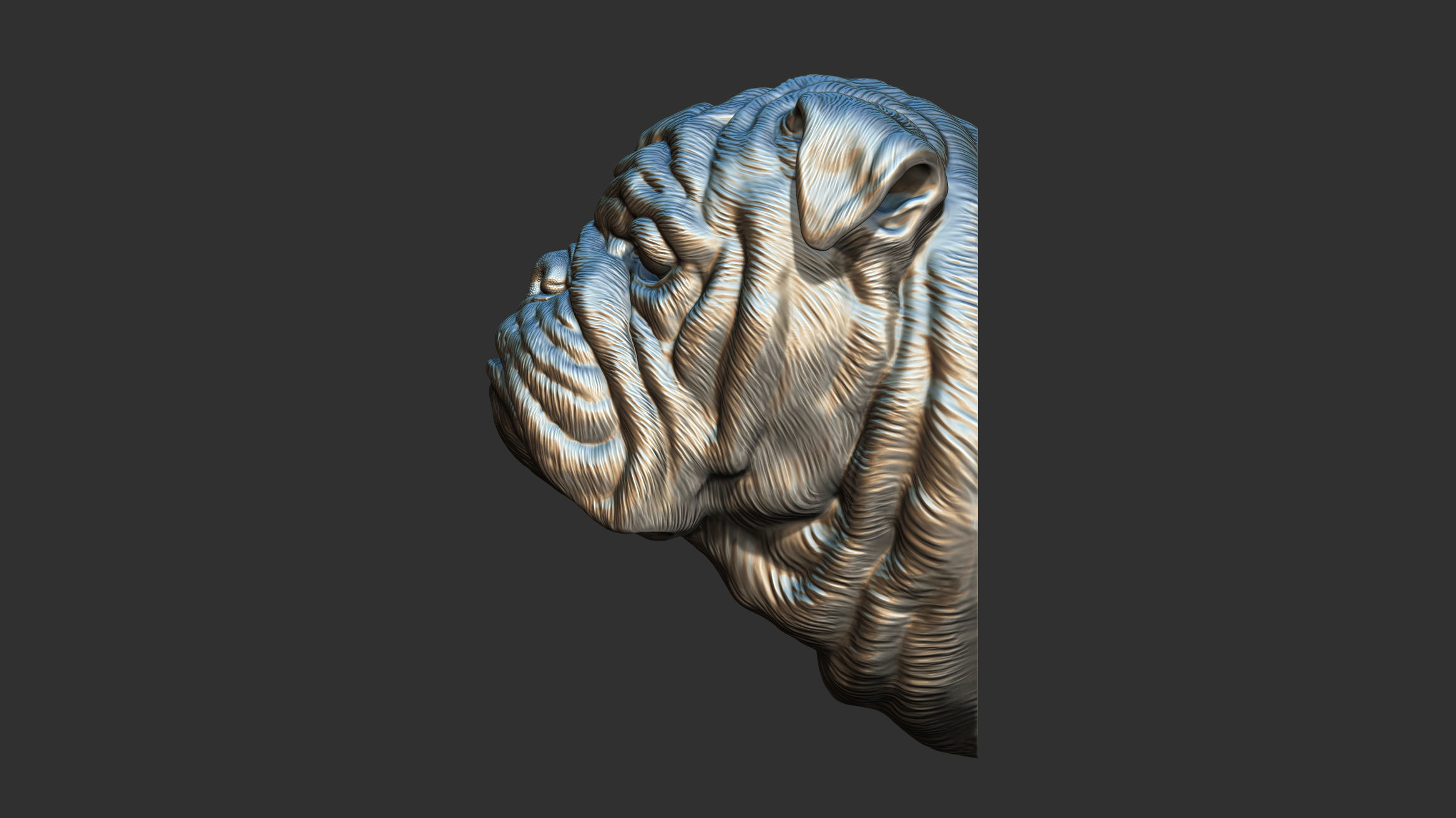 English bulldog bust 3D print model_7