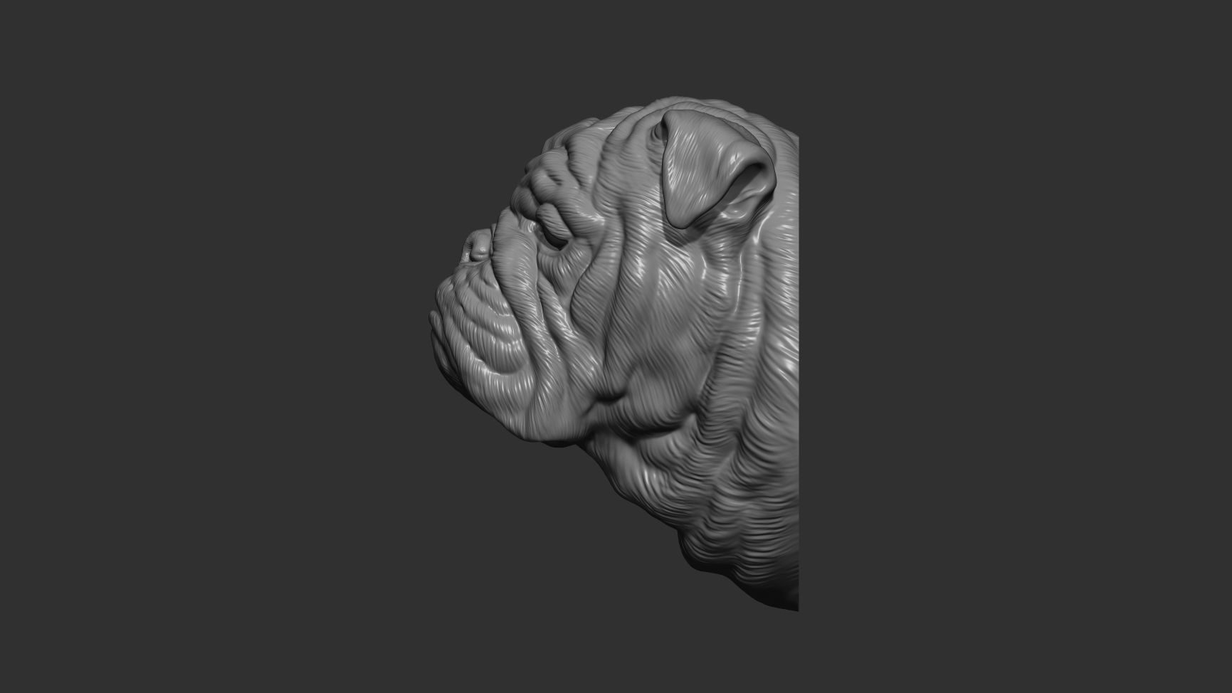 English bulldog bust 3D print model_4
