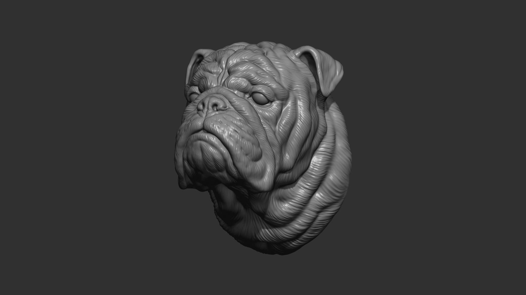 English bulldog bust 3D print model_1