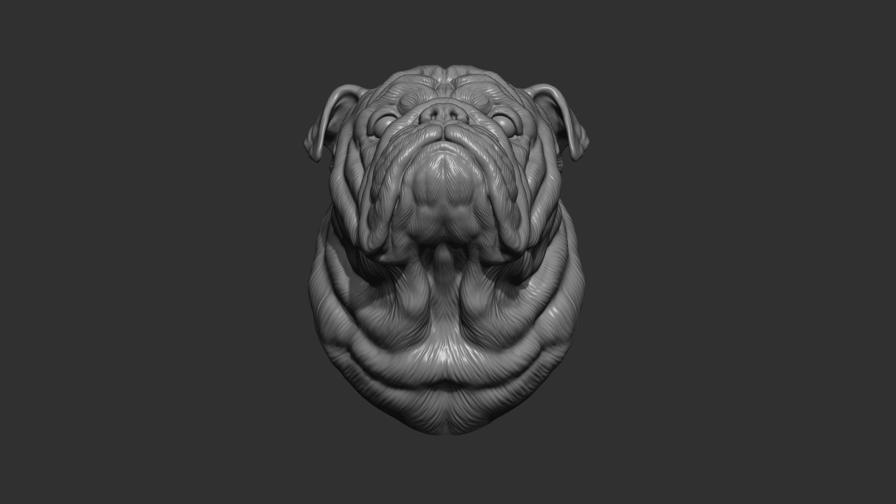 English bulldog bust 3D print model_3