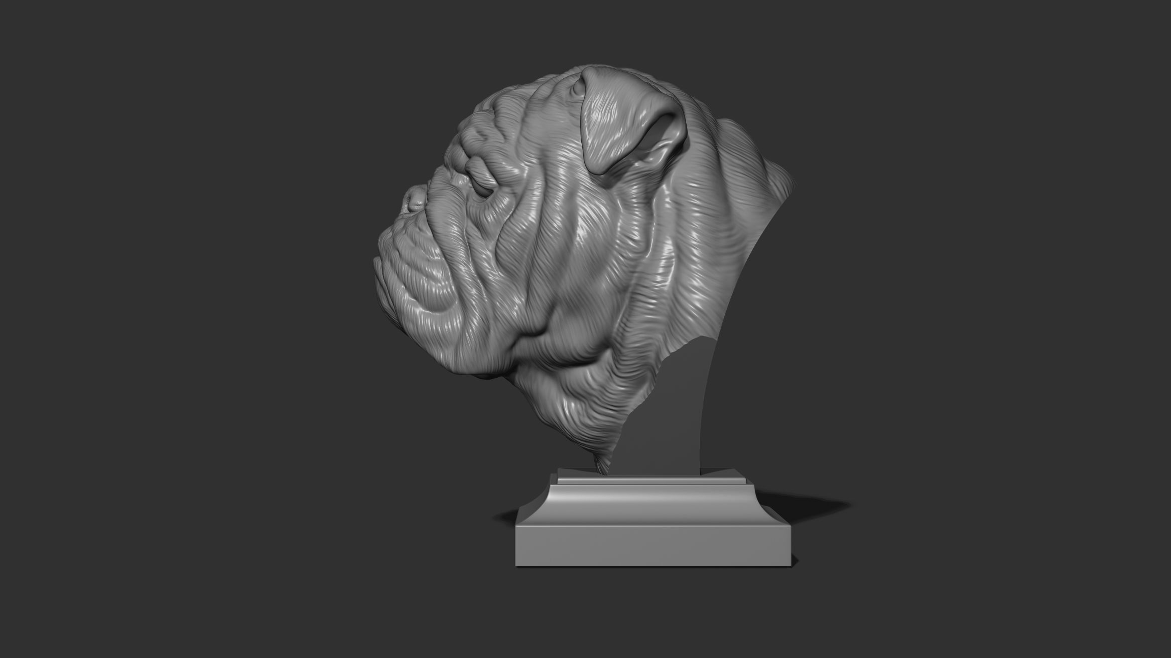 English bulldog bust 3D print model_12