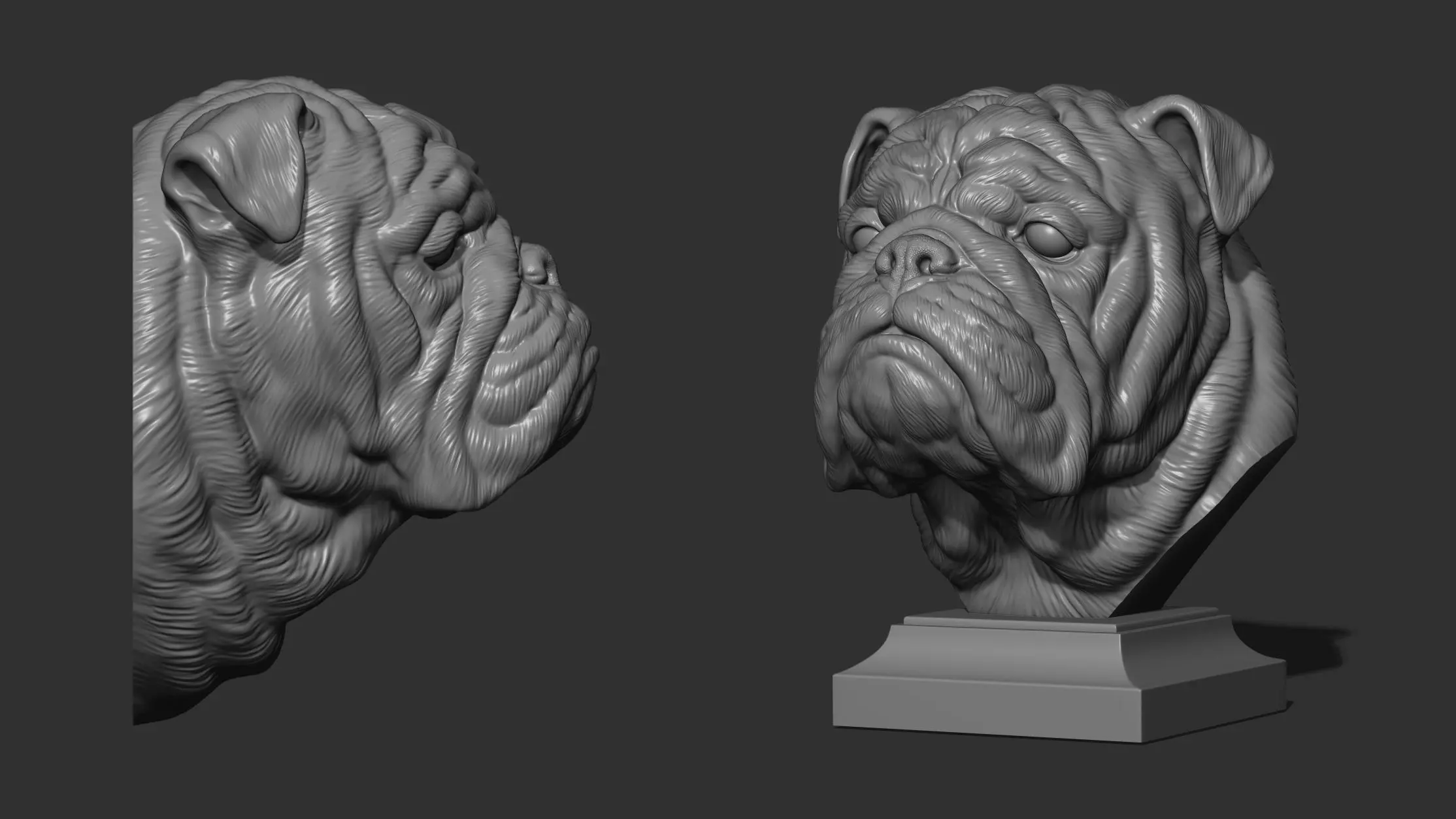English bulldog bust 3D print model_0