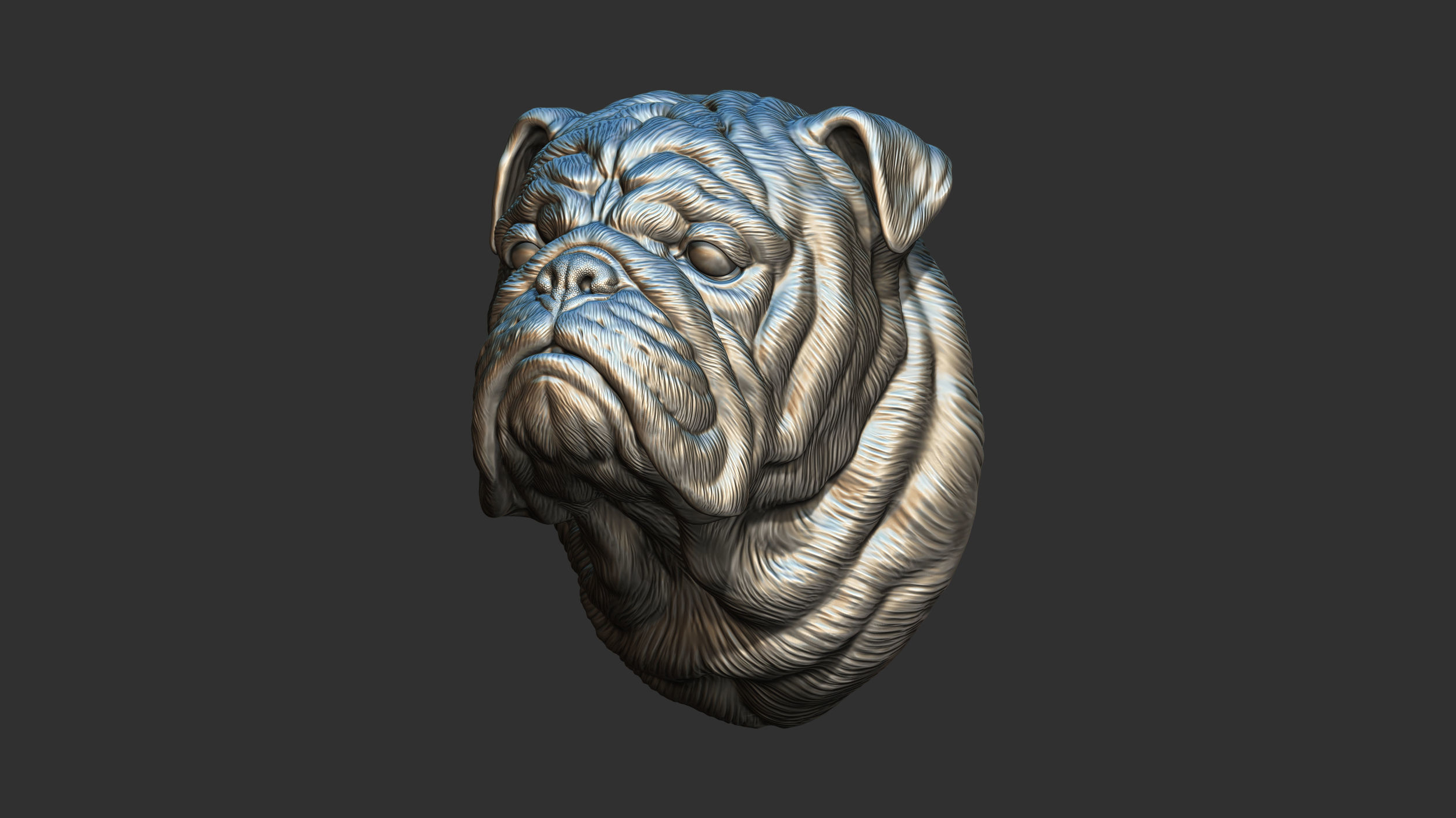 English bulldog bust 3D print model_8