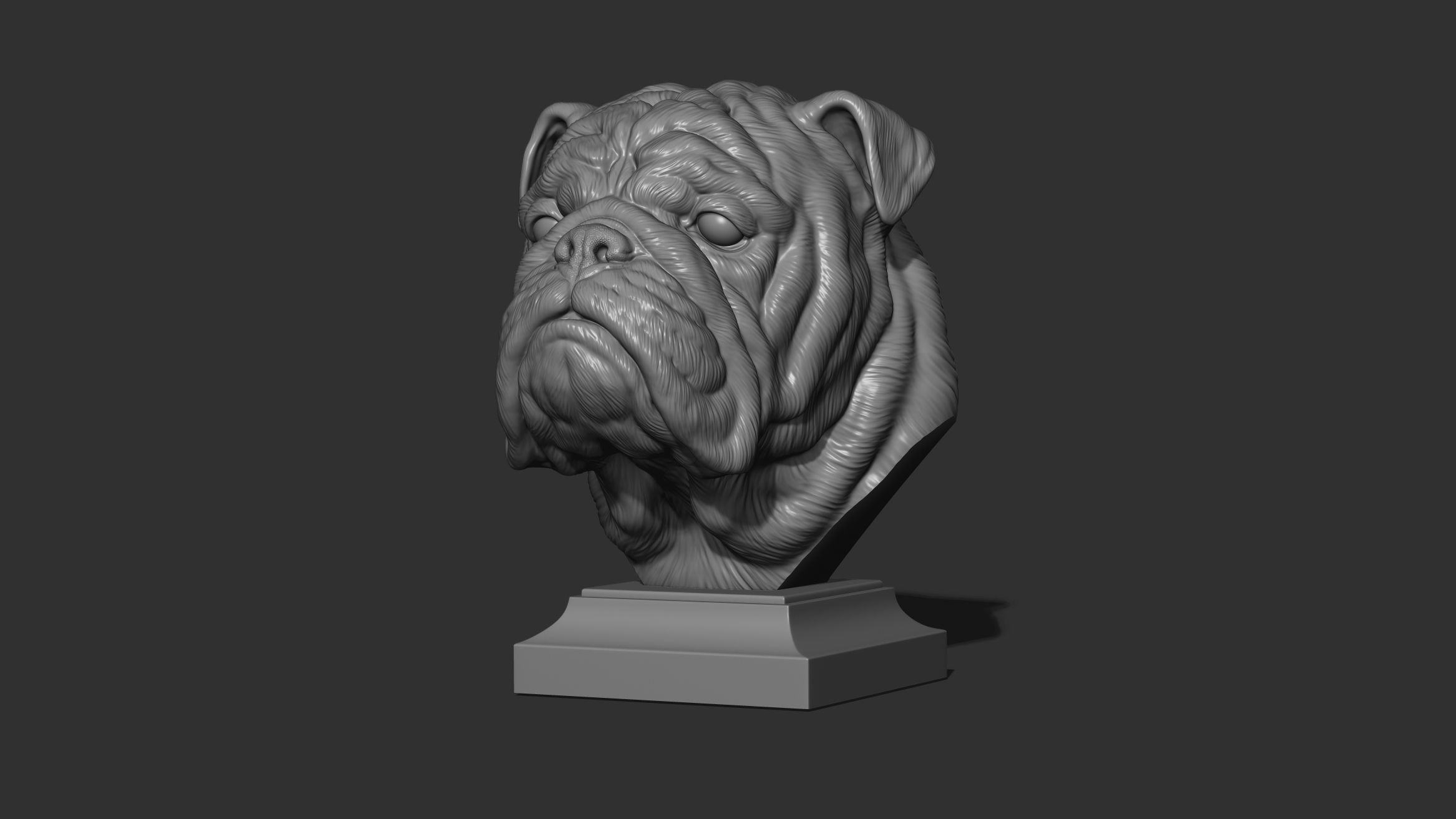 English bulldog bust 3D print model_10