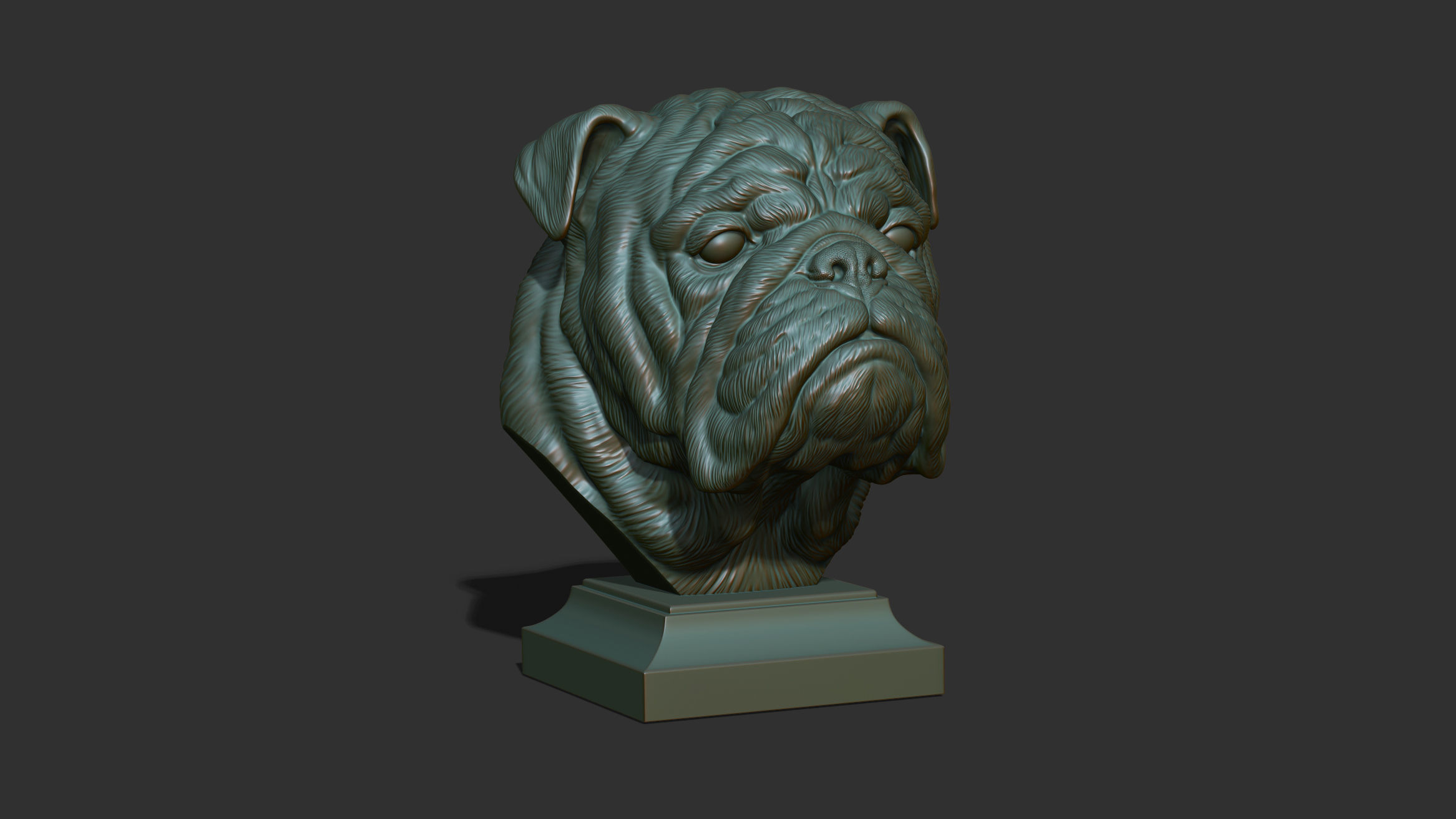 English bulldog bust 3D print model_15