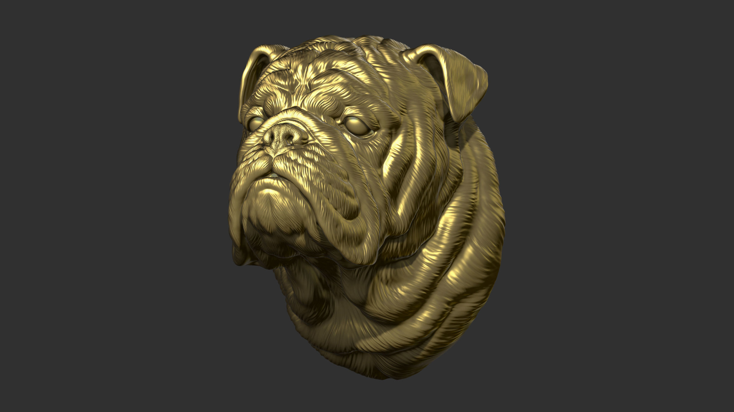 English bulldog bust 3D print model_9