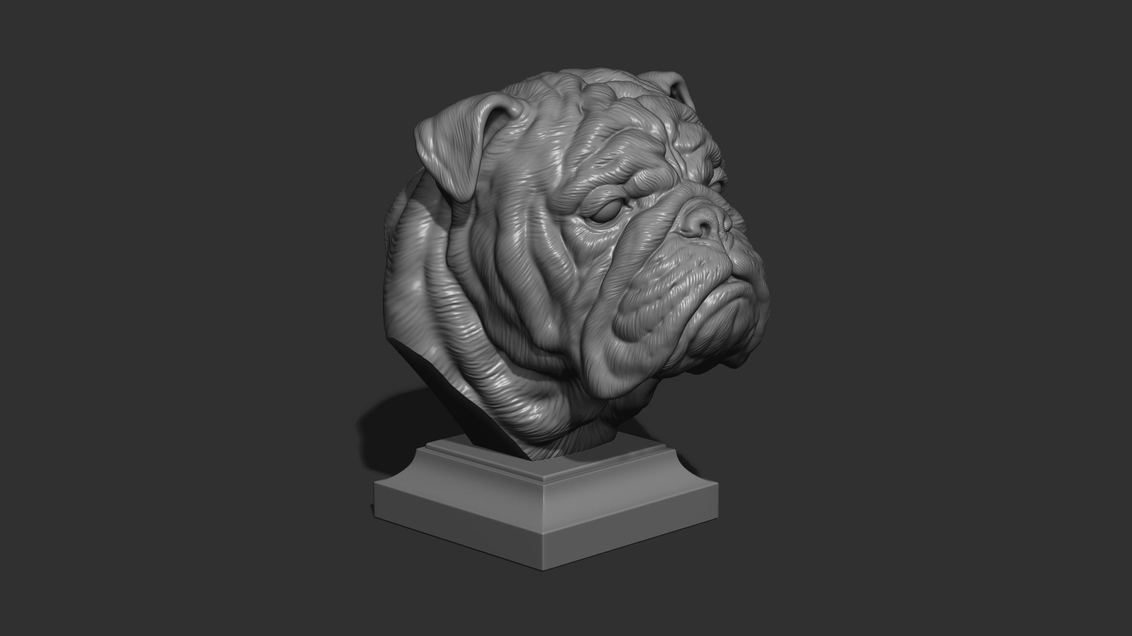 English bulldog bust 3D print model_14
