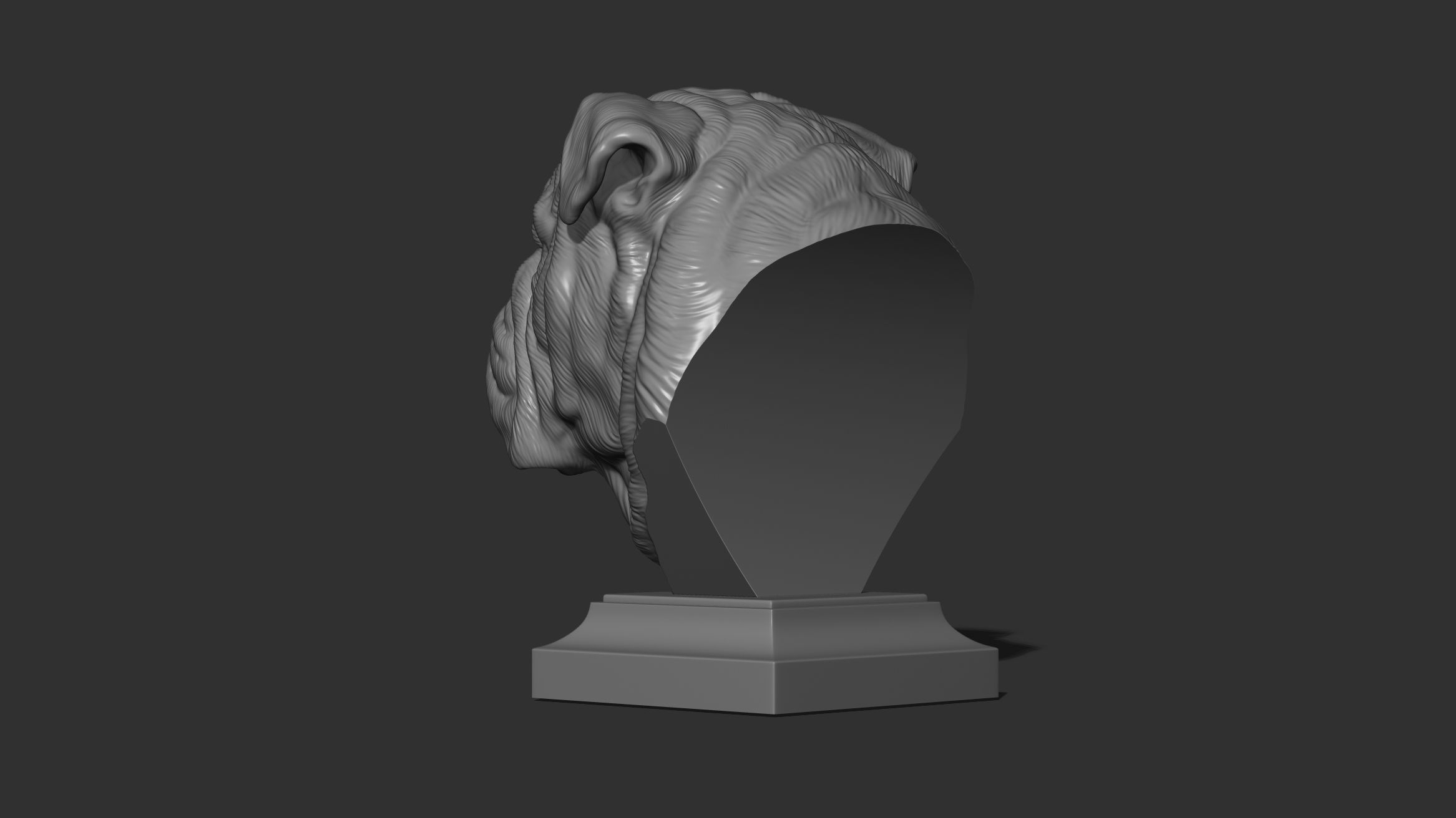 English bulldog bust 3D print model_13