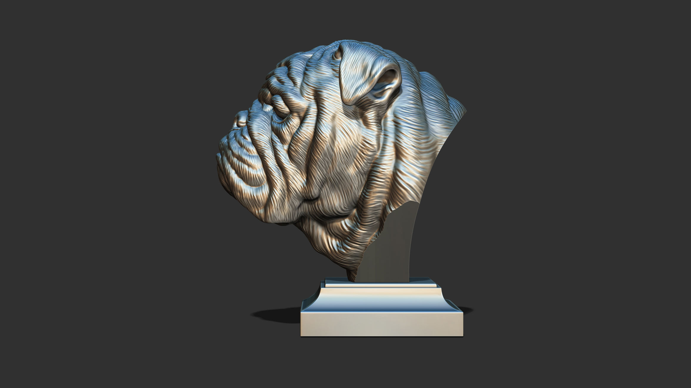 English bulldog bust 3D print model_17