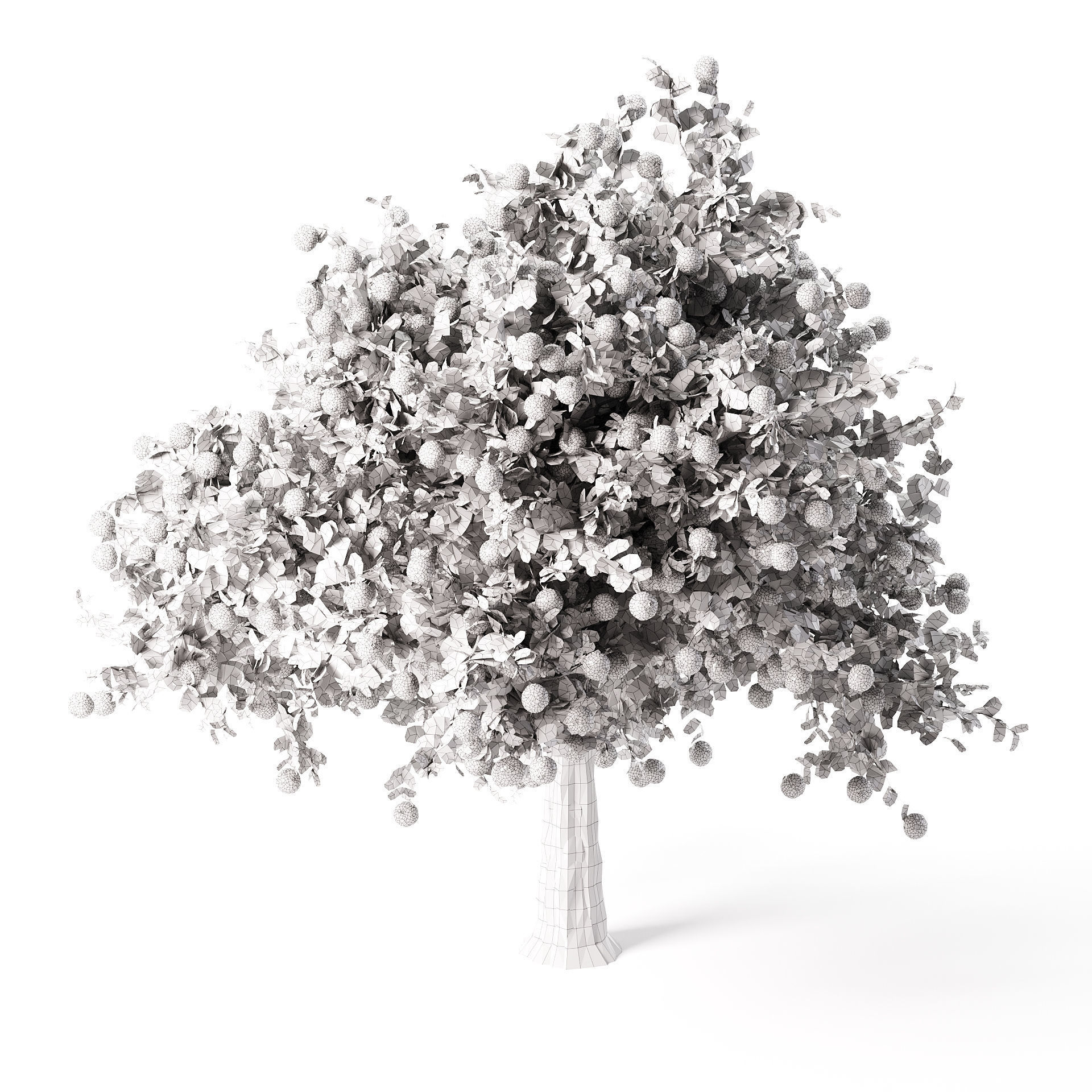 Pomegranate Tree 3D Model 3D model_8