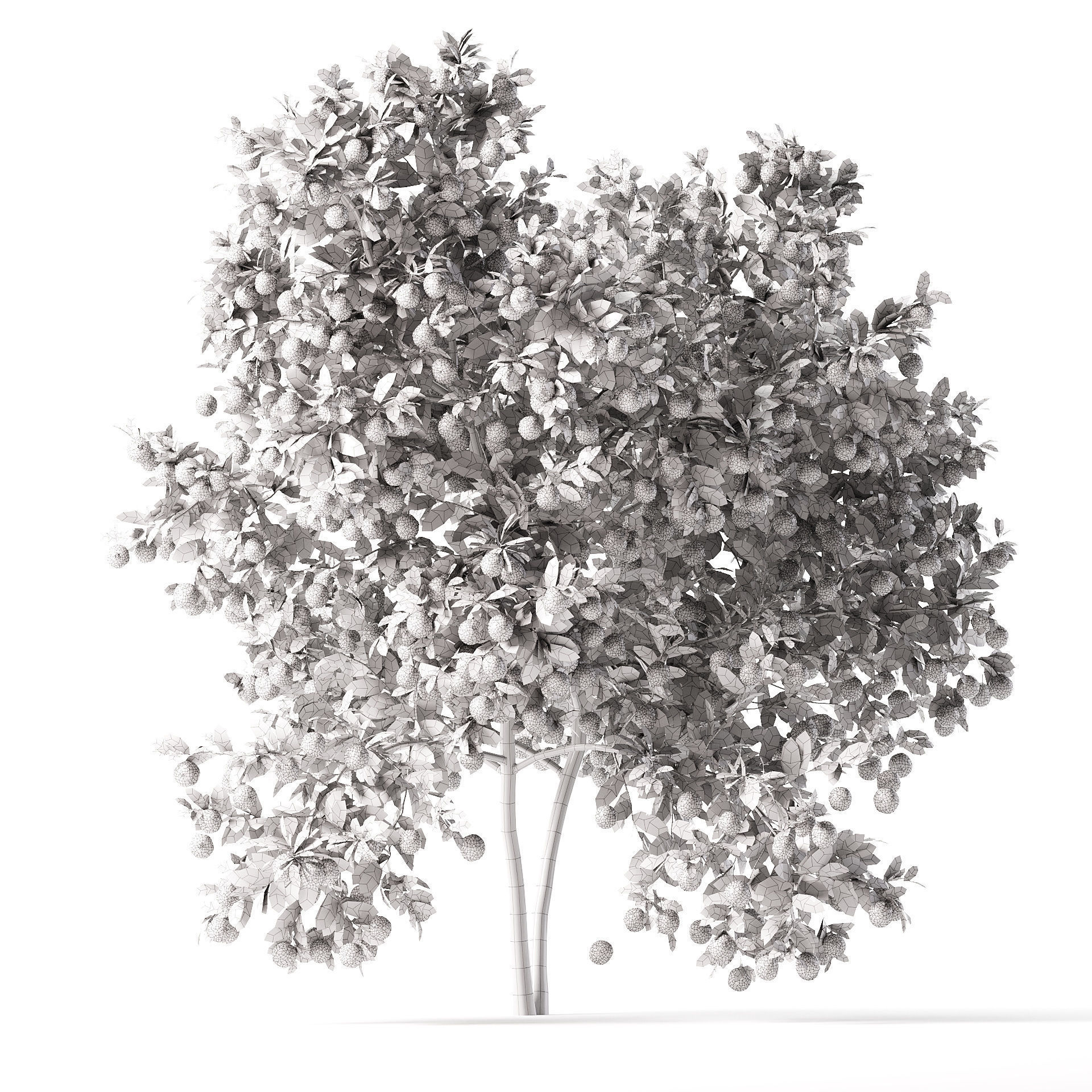 Pomegranate Tree 3D Model 3D model_7