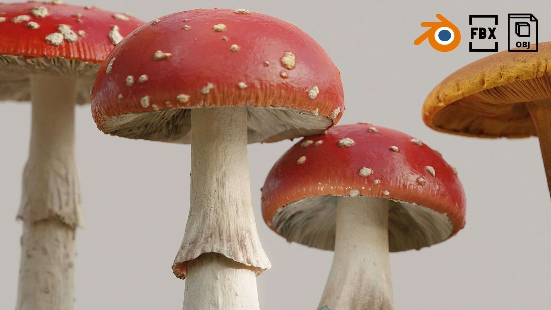 Set Mushrooms 01 Low-poly 3D model_4