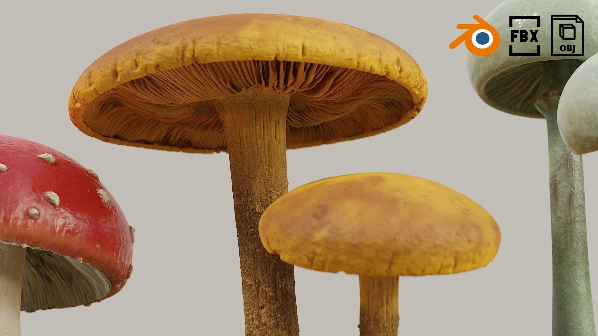 Set Mushrooms 01 Low-poly 3D model_5