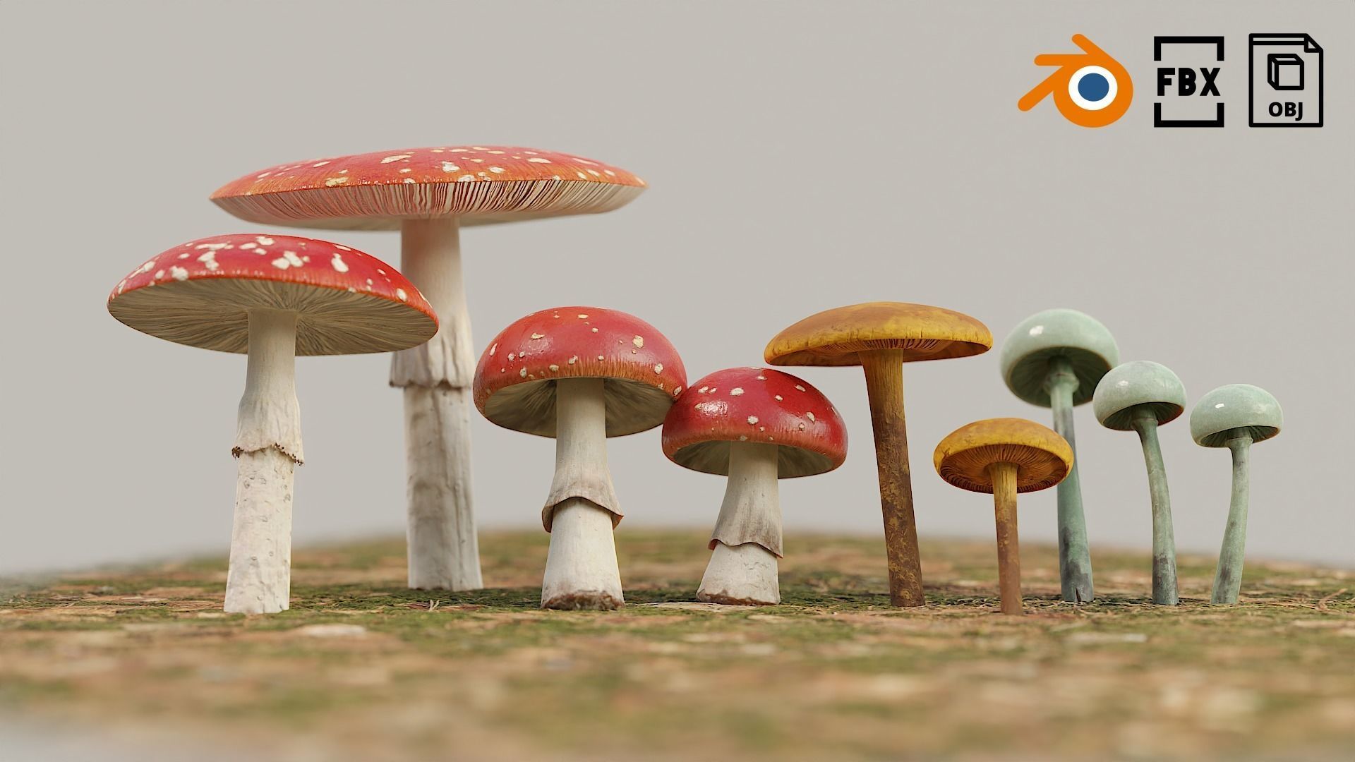 Set Mushrooms 01 Low-poly 3D model_13