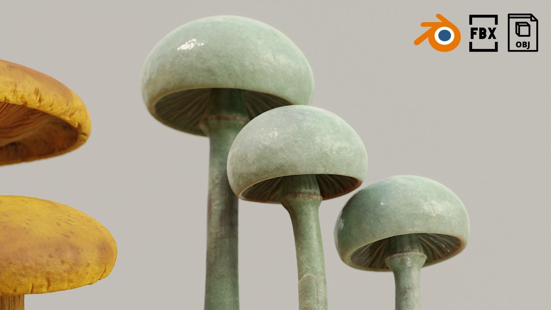 Set Mushrooms 01 Low-poly 3D model_6