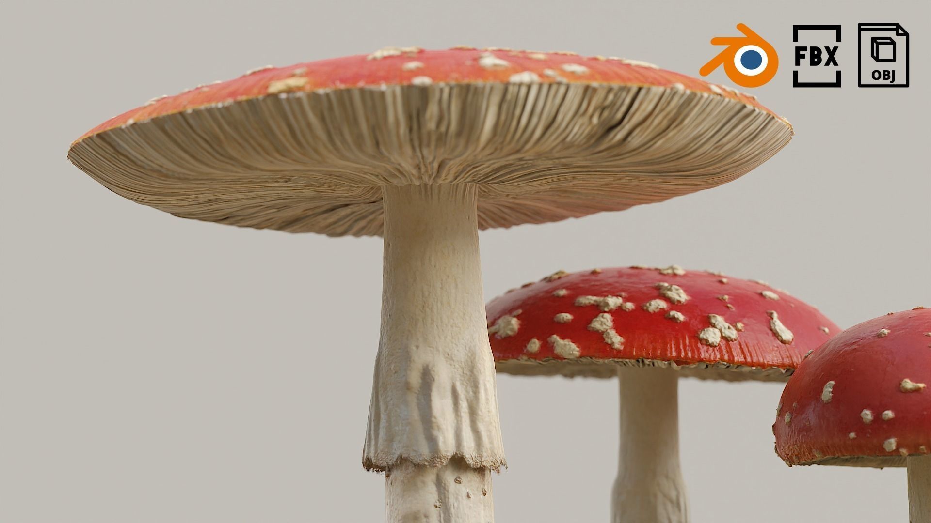 Set Mushrooms 01 Low-poly 3D model_3