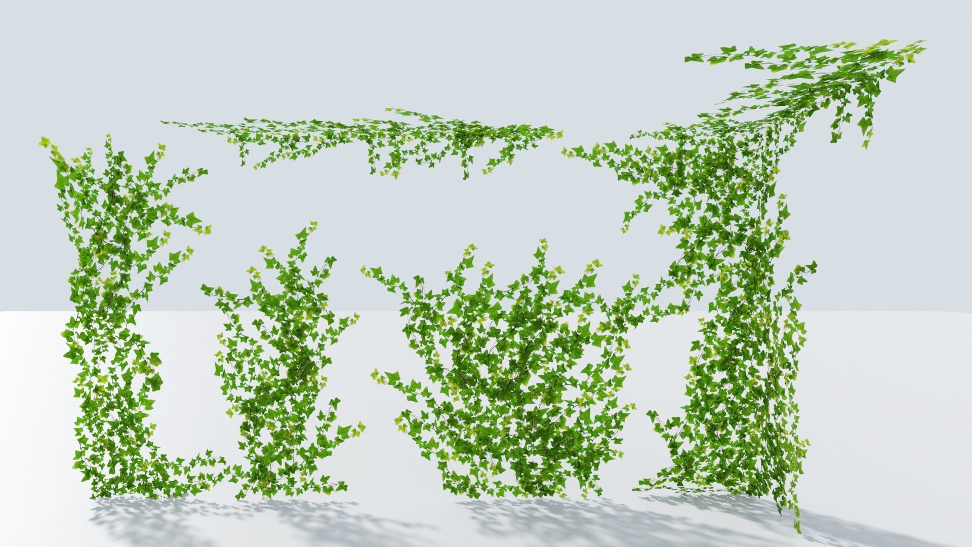 LowPoly Ivy wall Low-poly 3D model_2