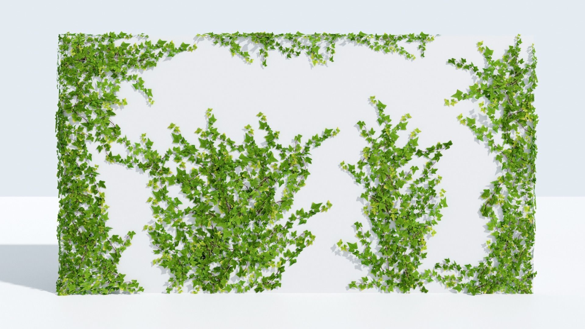 LowPoly Ivy wall Low-poly 3D model_3