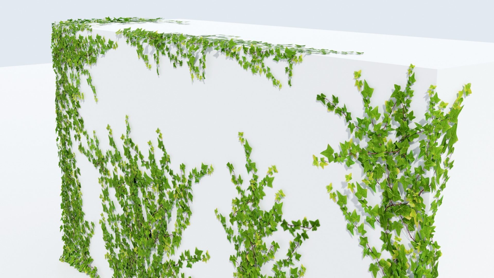 LowPoly Ivy wall Low-poly 3D model_4
