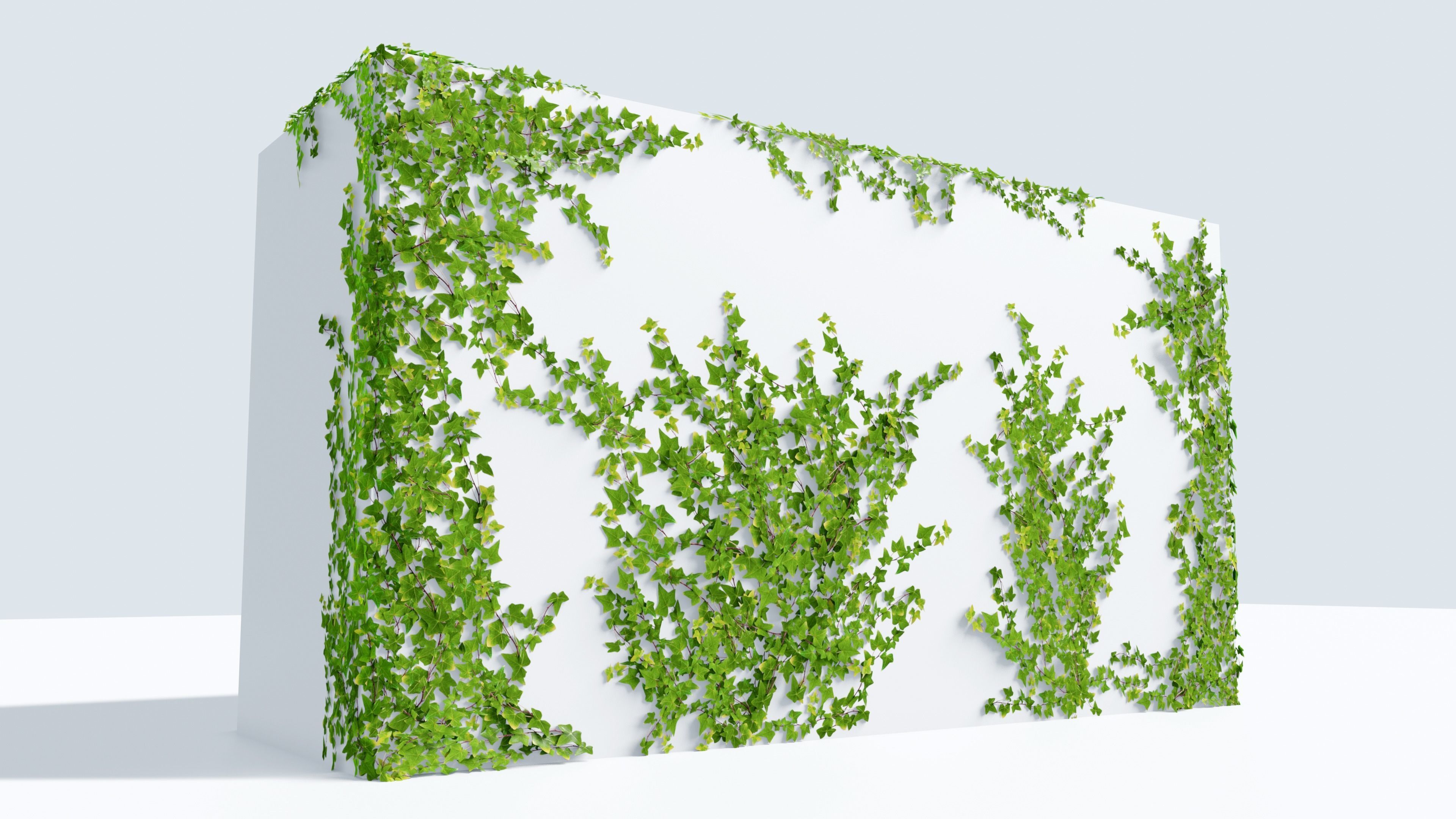 LowPoly Ivy wall Low-poly 3D model_5
