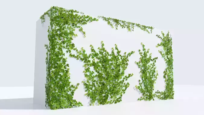 LowPoly Ivy wall Low-poly 3D model