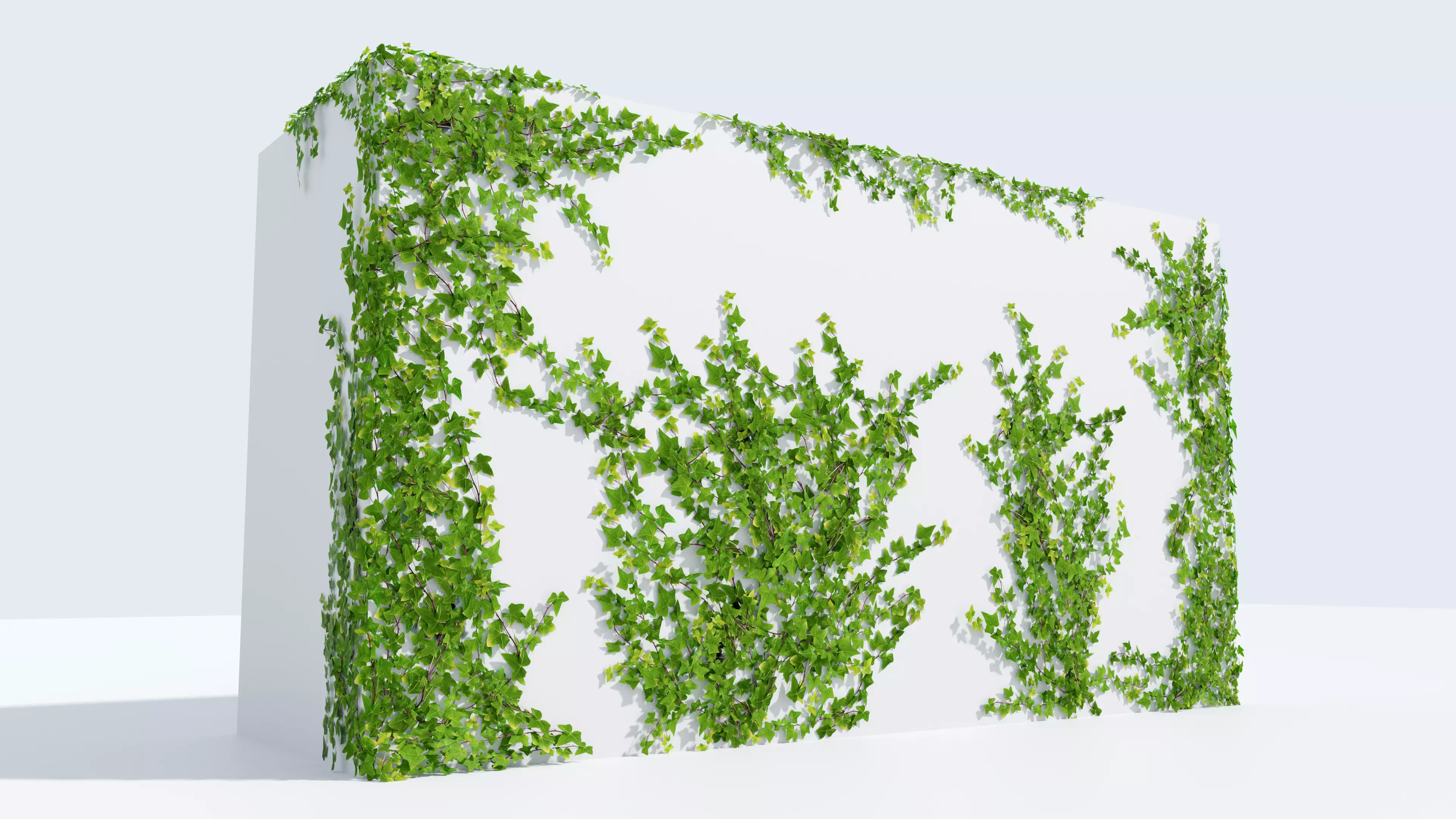 LowPoly Ivy wall Low-poly 3D model_0