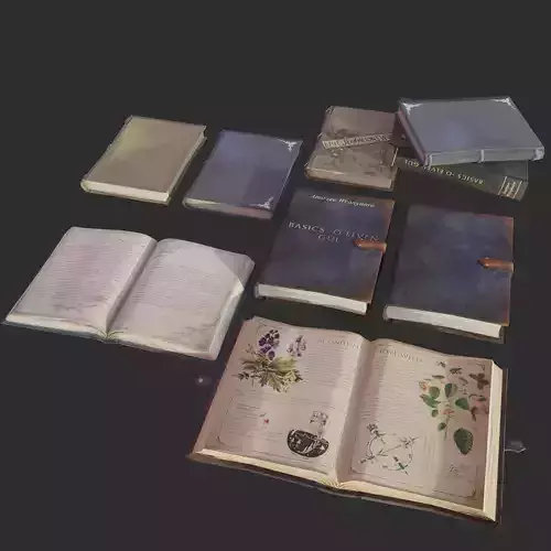 Set of stylized books