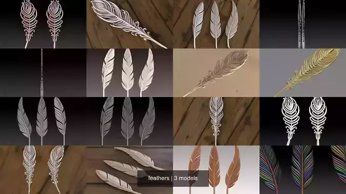 feathers 3D Model Collection
