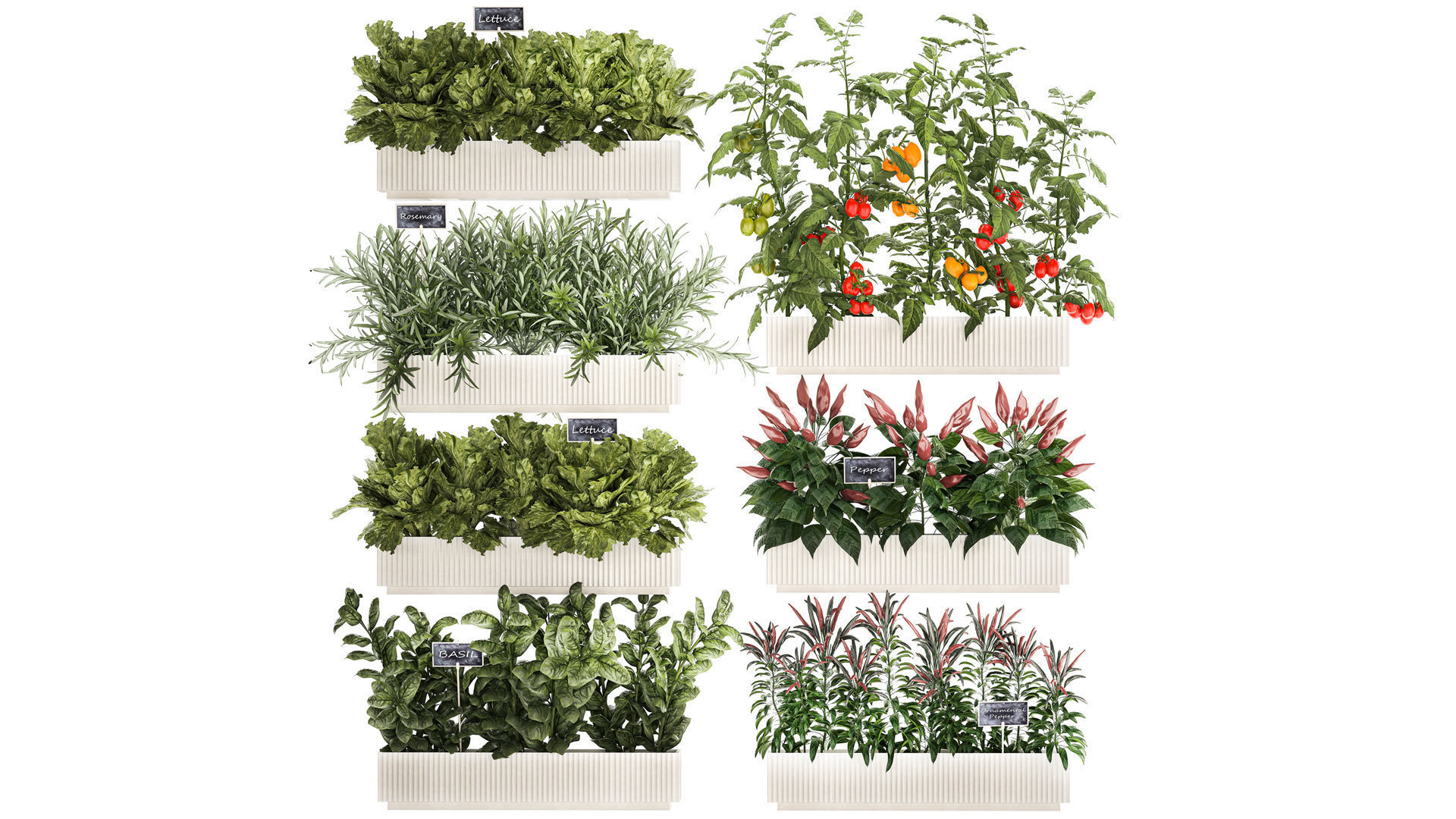 kitchen garden vegetables tomatoes peppers greens 1416 3D model_1