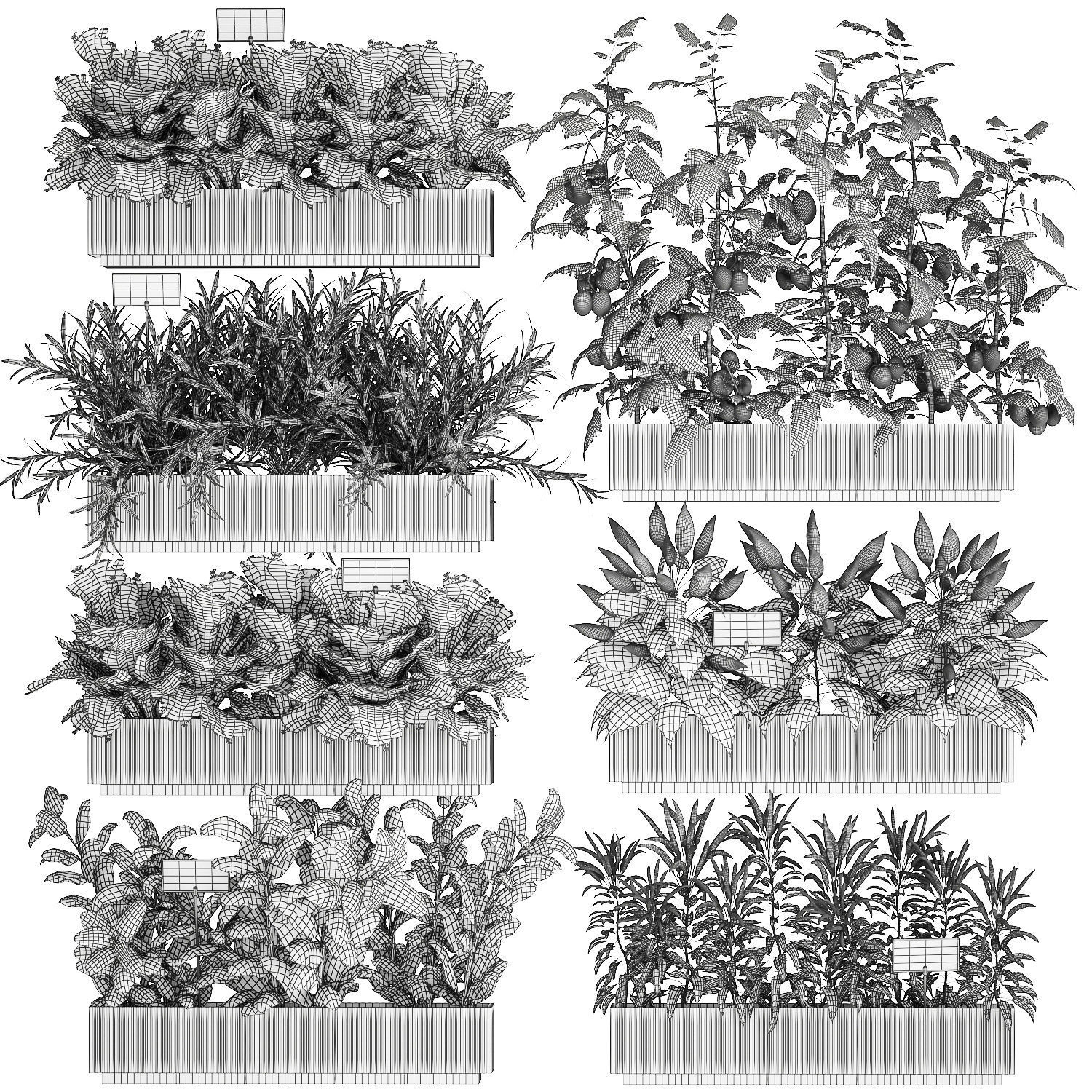 kitchen garden vegetables tomatoes peppers greens 1416 3D model_14