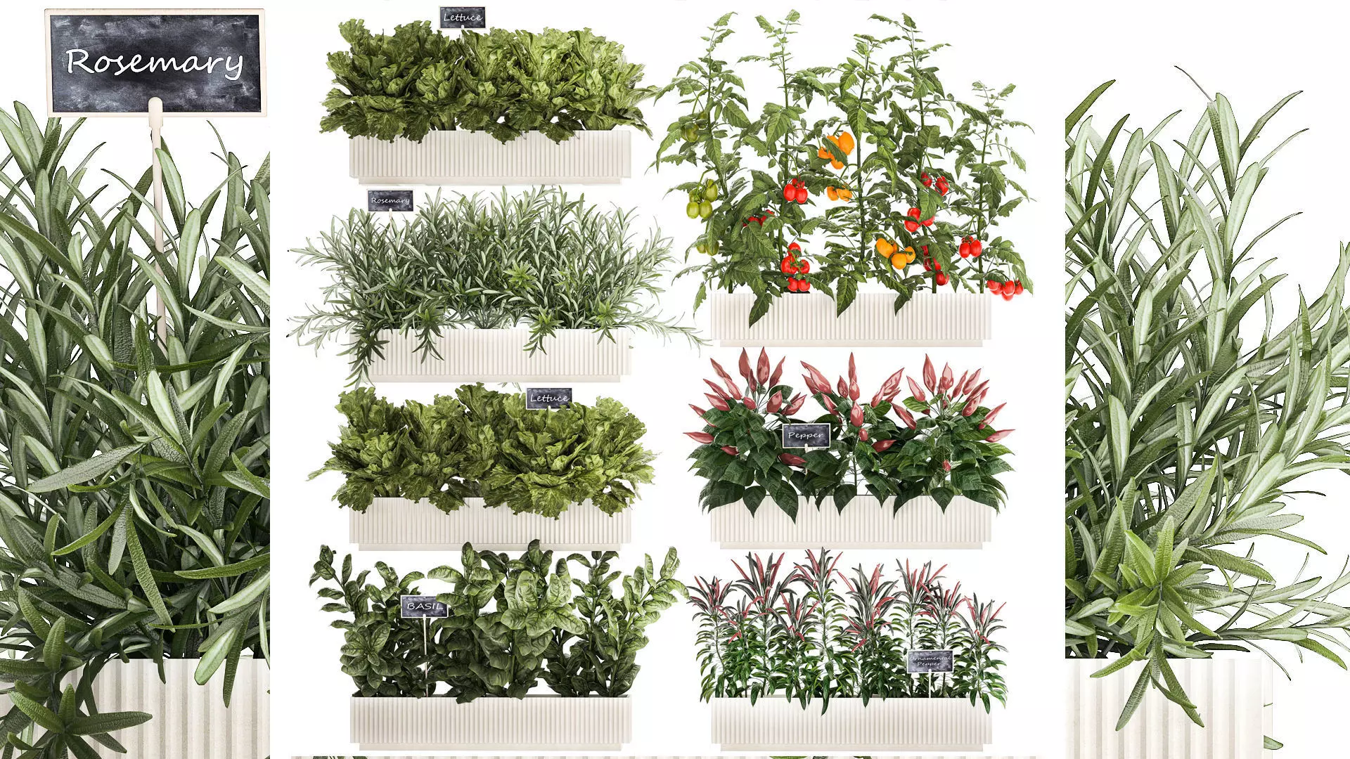 kitchen garden vegetables tomatoes peppers greens 1416 3D model_0