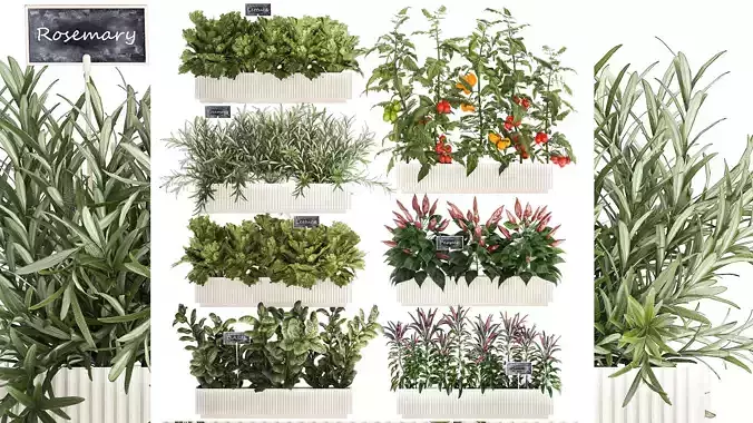 kitchen garden vegetables tomatoes peppers greens 1416 3D model