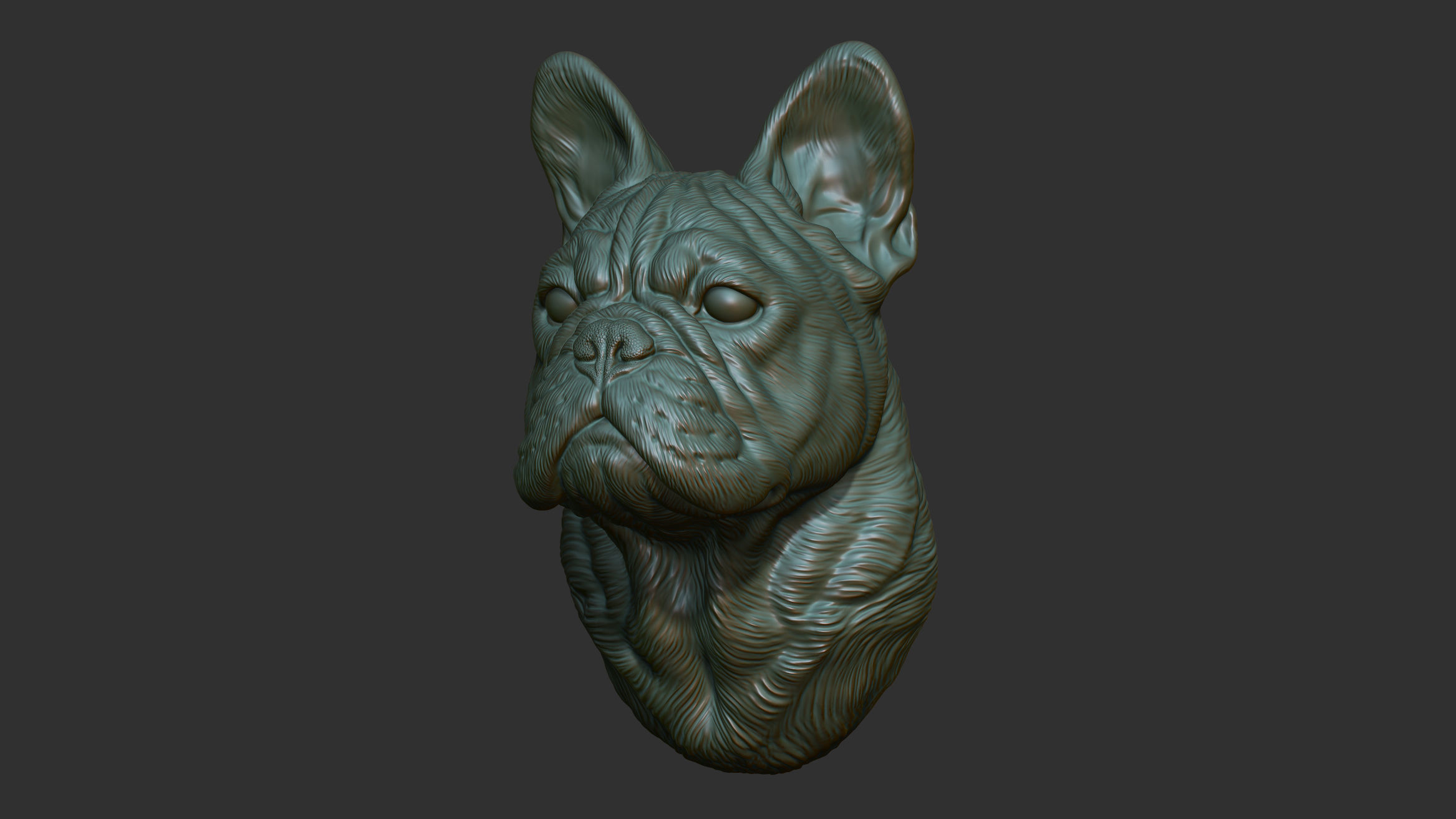 French bulldog bust 3D print model_9