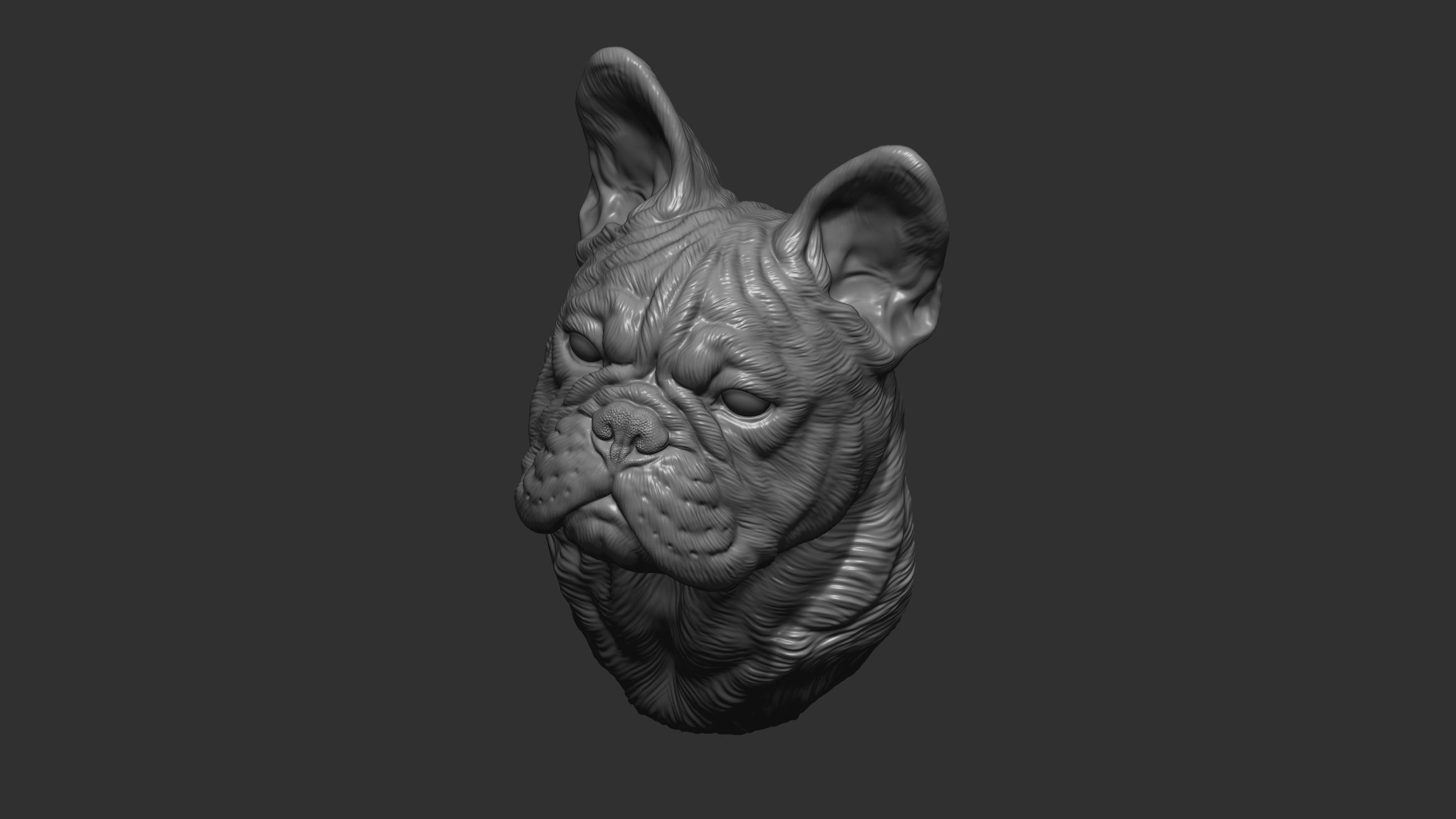 French bulldog bust 3D print model_2