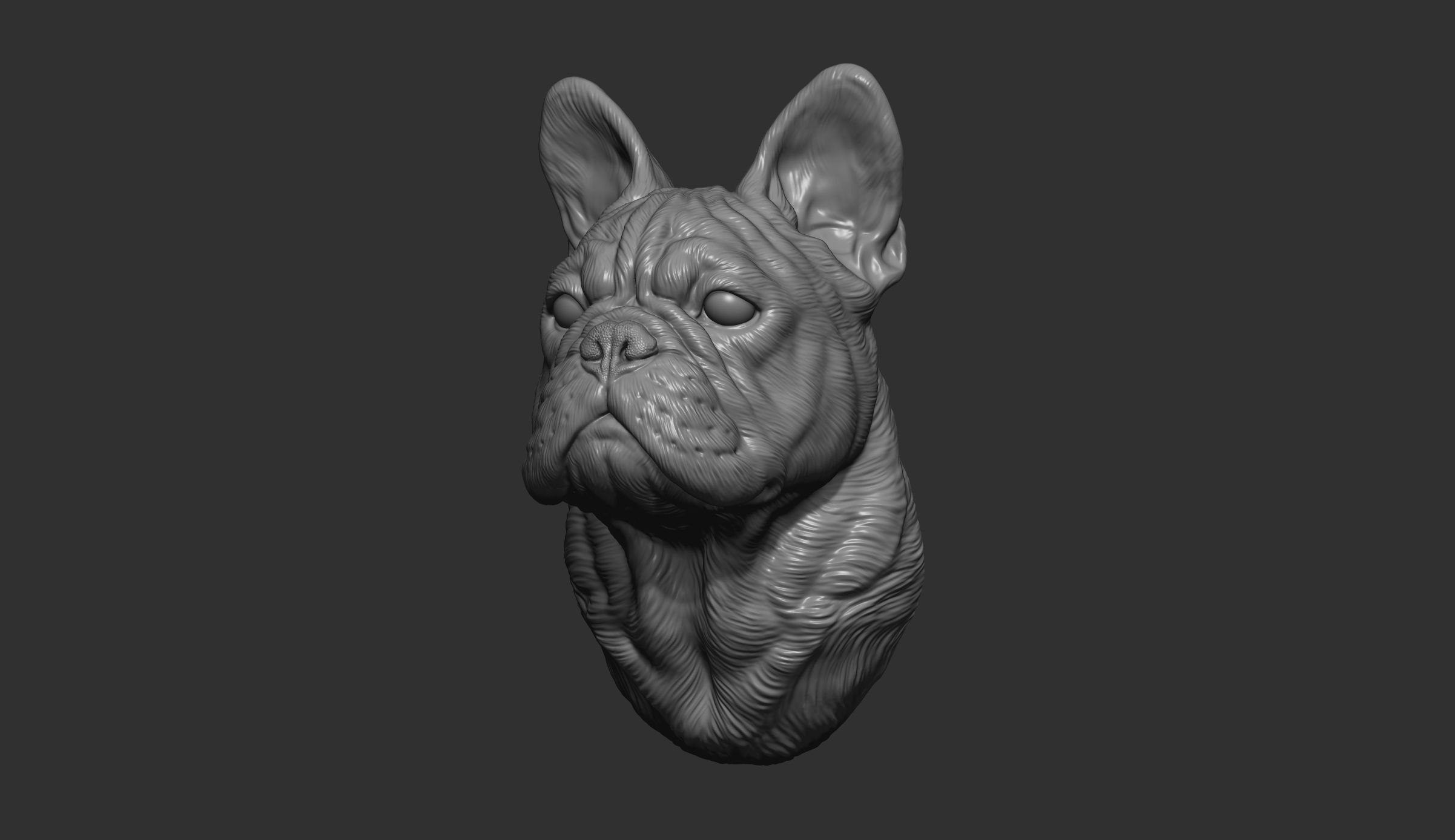 French bulldog bust 3D print model_5