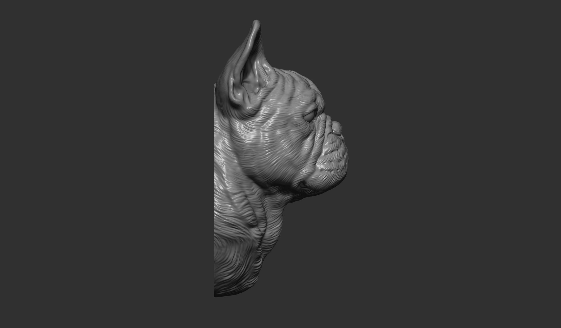 French bulldog bust 3D print model_7