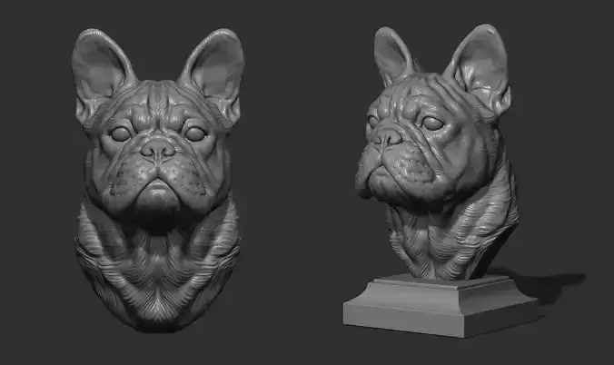 French bulldog bust 3D print model