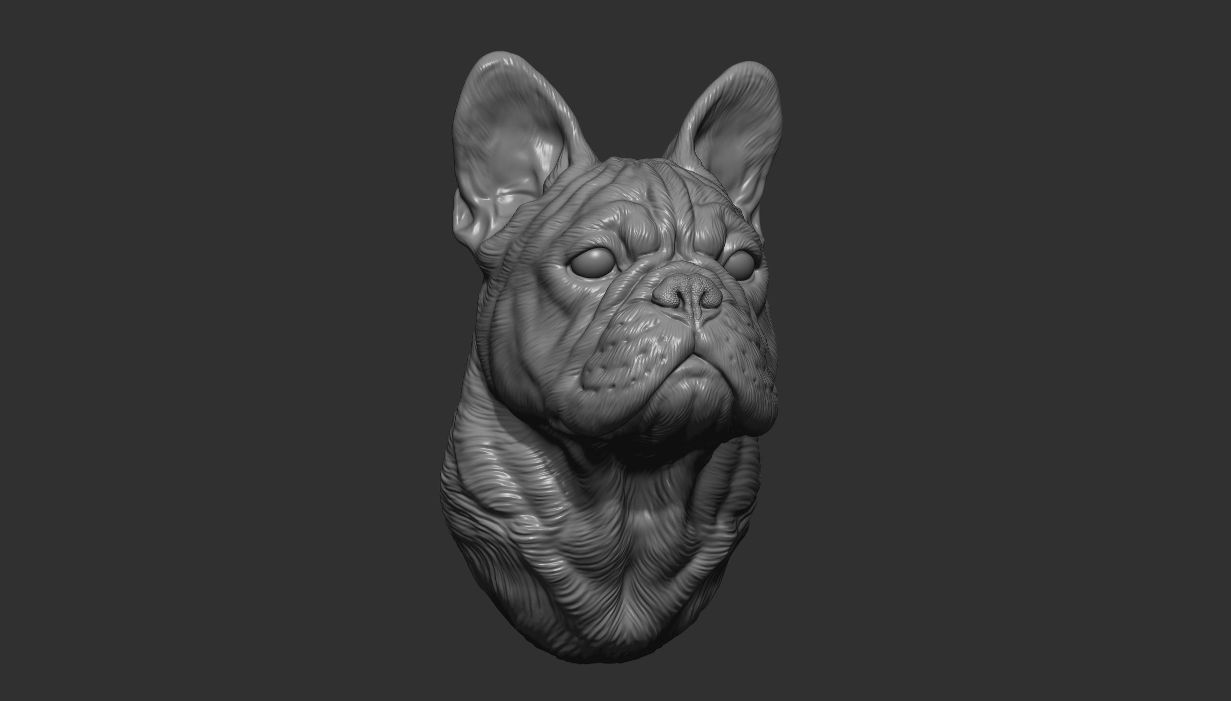 French bulldog bust 3D print model_4