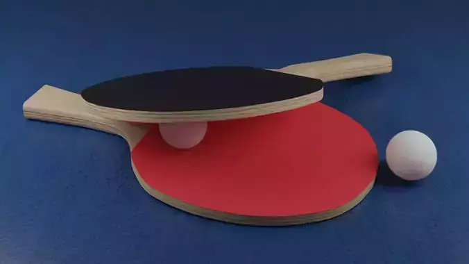 Table Tennis Bats  Free 3D model