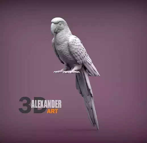 Ara parrot 3D print model